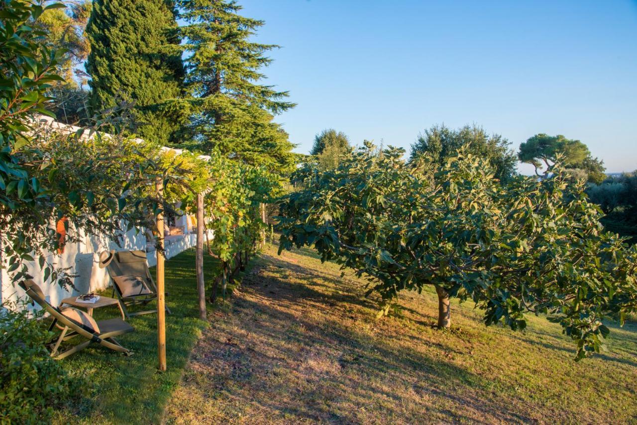 سان بول دي فينس Bastide Les 3 Portes المظهر الخارجي الصورة